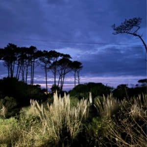 Altos de la serena Apart Hotel