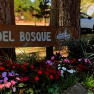 Club del Bosque