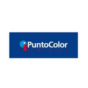 Punto Color